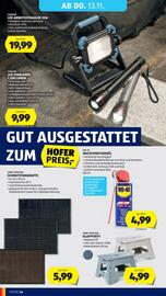 Hofer Flugblatt woche 45 Seite 50