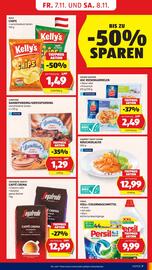 Hofer Flugblatt woche 45 Seite 9