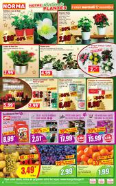Catalogue Norma semaine 46 page 4