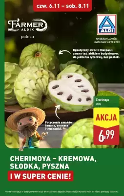 ALDI gazetka (ważność do 8-11)