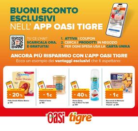 Volantino Tigre Pagina 19