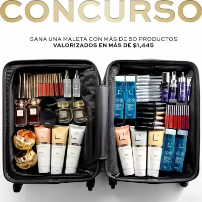 Catálogo L'bel (válido hasta 24-11)