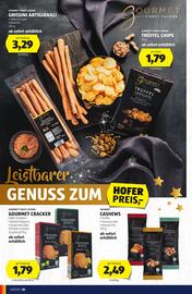 Hofer Flugblatt Seite 10