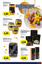 Hofer Flugblatt Seite 13