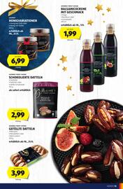 Hofer Flugblatt Seite 15