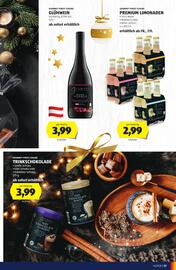 Hofer Flugblatt Seite 17