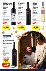 Hofer Flugblatt Seite 19