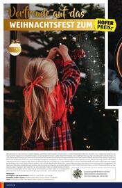 Hofer Flugblatt Seite 2