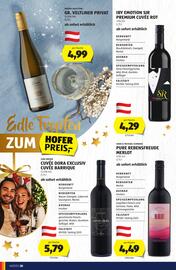 Hofer Flugblatt Seite 20