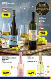 Hofer Flugblatt Seite 21