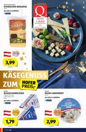 Hofer Flugblatt Seite 22