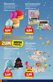 Hofer Flugblatt Seite 26