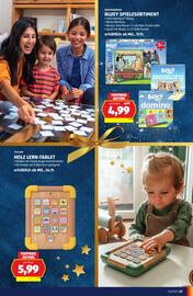 Hofer Flugblatt Seite 27