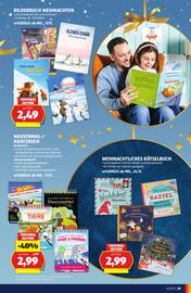 Hofer Flugblatt Seite 29