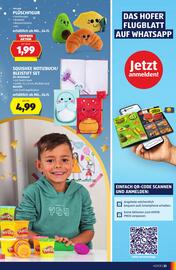 Hofer Flugblatt Seite 33