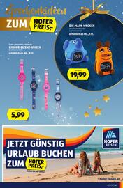 Hofer Flugblatt Seite 35