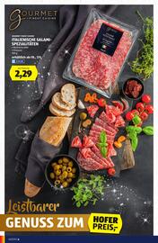 Hofer Flugblatt Seite 4