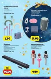 Hofer Flugblatt Seite 41