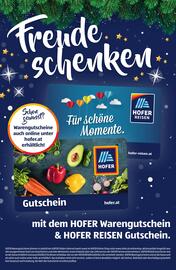 Hofer Flugblatt Seite 44