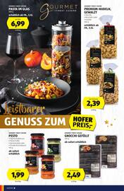 Hofer Flugblatt Seite 8