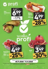 Catalog PROFI săptămâna 45 Pagină 1