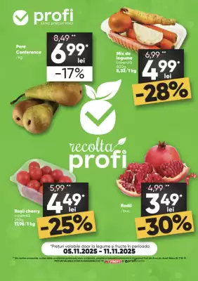 Catalog PROFI (valid până la 11-11)