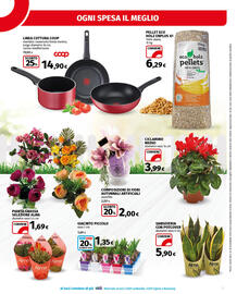 Volantino Ipercoop Pagina 37