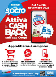 Volantino Ipercoop Pagina 51