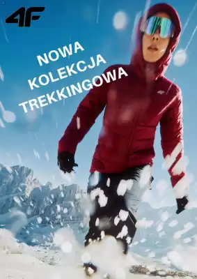 4F gazetka (ważność do 4-12)