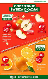 Żabka gazetka Strona 10