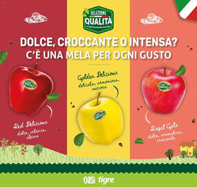 Volantino Oasi Pagina 3