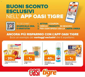 Volantino Oasi Pagina 31