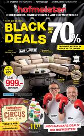 Hofmeister Prospekt Seite 1