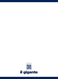 Volantino Il Gigante Pagina 100