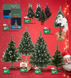 Bi1 gazetka Strona 39