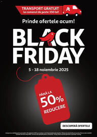 Catalog Auchan Pagină 31