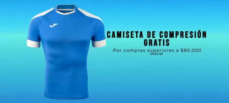 Catálogo FSS (válido hasta 20-11)