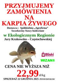 Wizan gazetka Strona 1