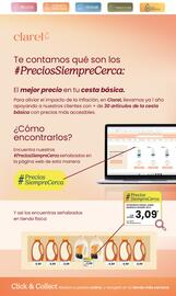 Folleto Clarel Página 13