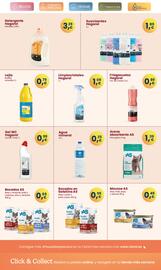 Folleto Clarel Página 15