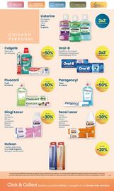 Folleto Clarel Página 7