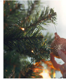 Catálogo Bauhaus Página 46