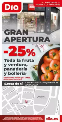 Folleto Dia (válido hasta el 11-11)