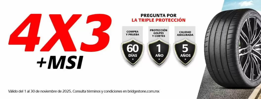 Catálogo Bridgestone (válido hasta 30-11)