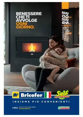Volantino Bricofer (valido fino al 30-06)