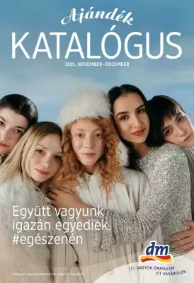 DM akciós újság (érvényes eddig: 31-12)