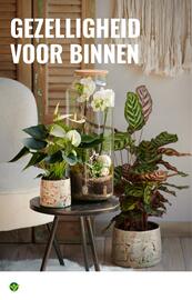 GroenRijk folder week 45 Pagina 16