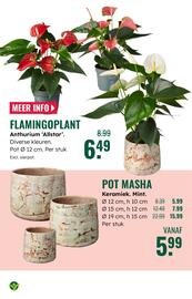 GroenRijk folder week 45 Pagina 18