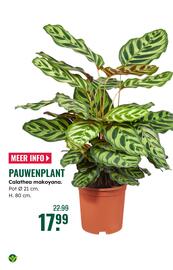 GroenRijk folder week 45 Pagina 19