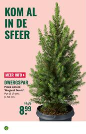 GroenRijk folder week 45 Pagina 3